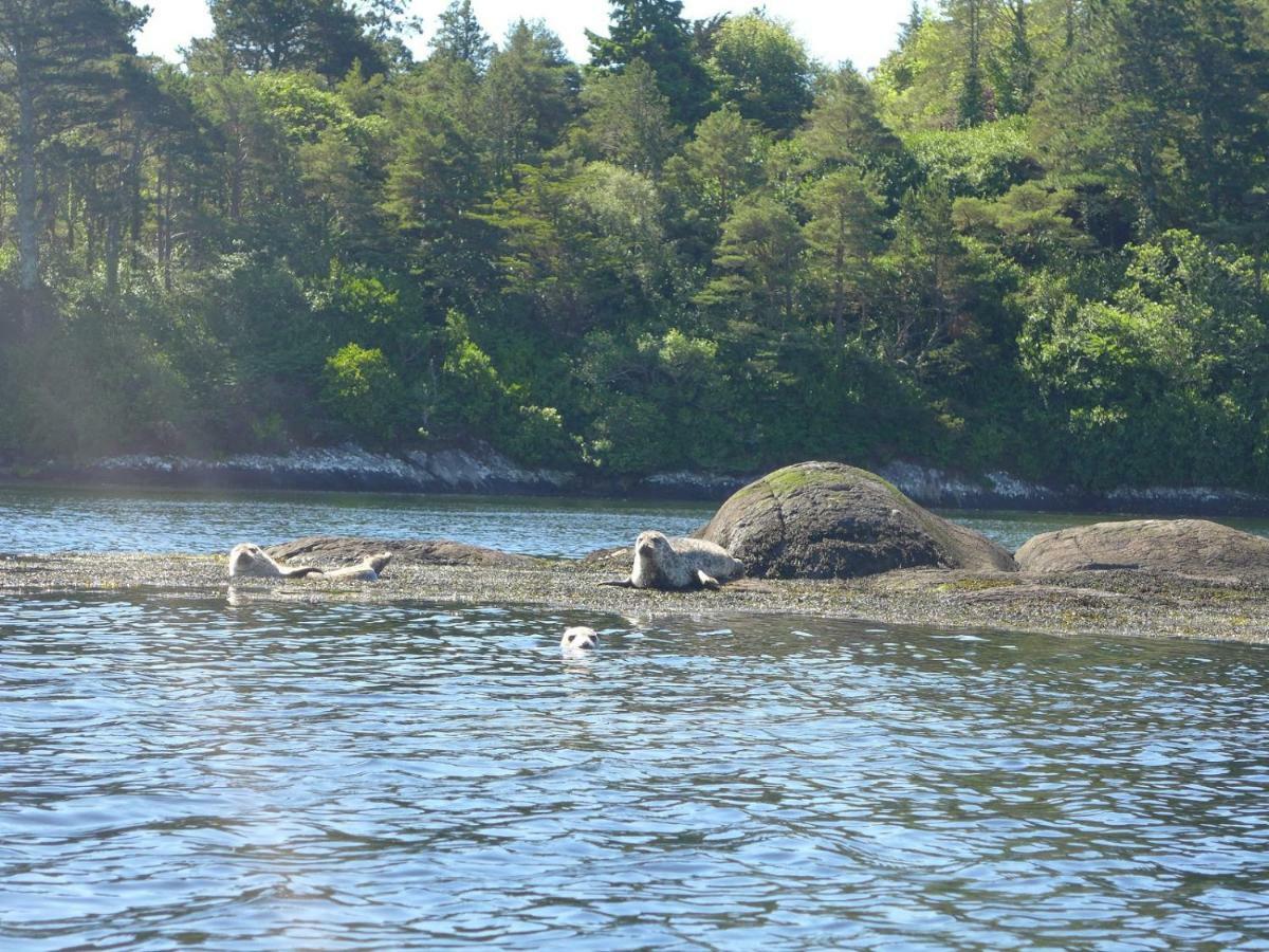 River'S Edge Bed & Breakfast Glengarriff Buitenkant foto
